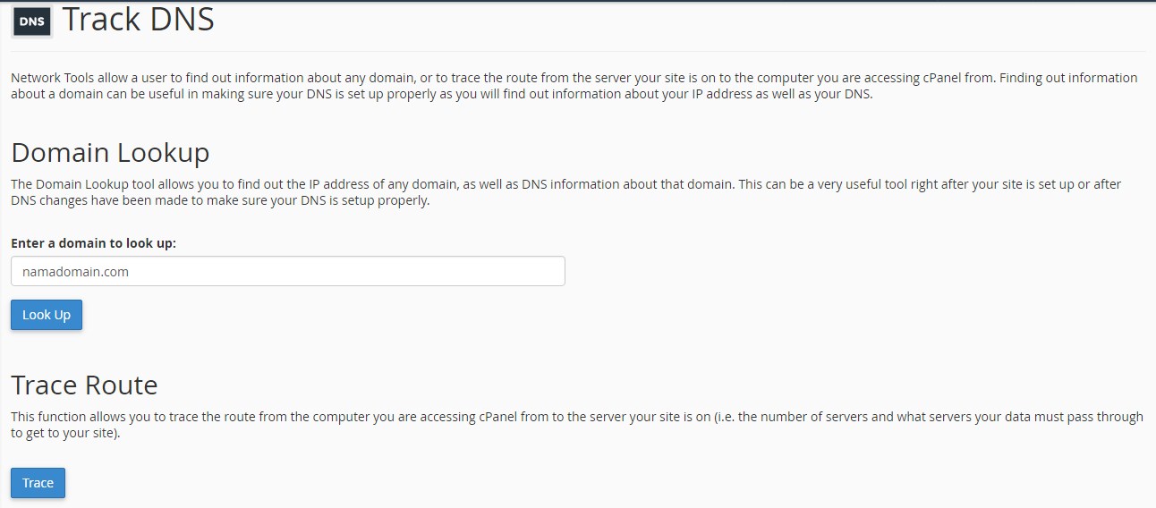 Cara Menggunakan Fitur Track DNS