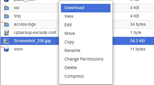 Cara Download File di File Manager