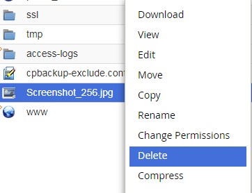 Cara Menghapus File di File Manager